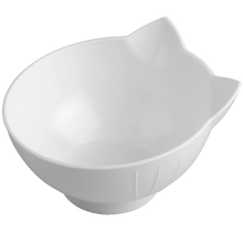 Pet Double Cat Bowl With Raised Stand