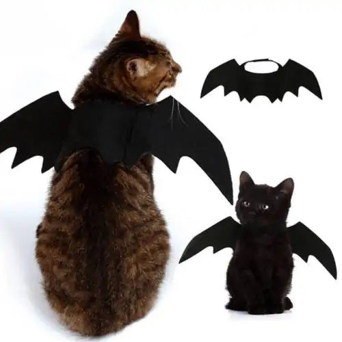 Bat Pet Costume